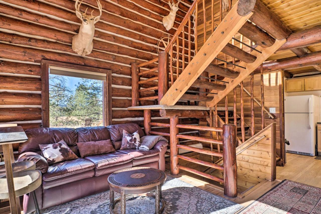 Classic Colorado Log Home With Mountain Views! Florissant Kültér fotó